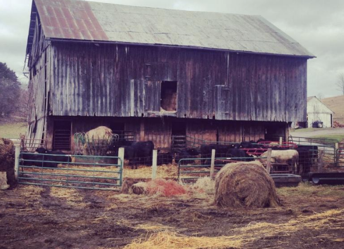 original barn old barn